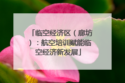 临空经济区（廊坊）：航空培训赋能临空经济新发展
