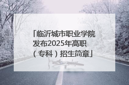 临沂城市职业学院发布2025年高职（专科）招生简章