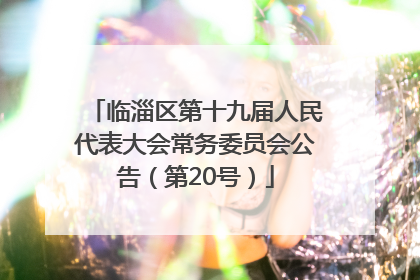 临淄区第十九届人民代表大会常务委员会公告（第20号）