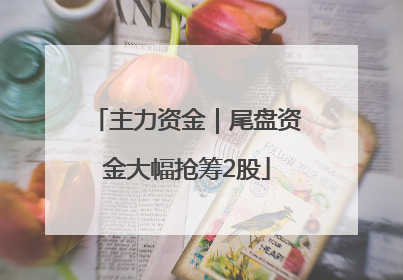 主力资金｜尾盘资金大幅抢筹2股