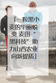 一粒黑小麦的华丽蜕变 麦田“黑科技”助力山西农业向新提质