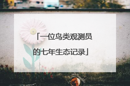 一位鸟类观测员的七年生态记录