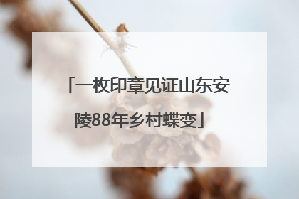 一枚印章见证山东安陵88年乡村蝶变