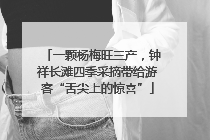 一颗杨梅旺三产，钟祥长滩四季采摘带给游客“舌尖上的惊喜”
