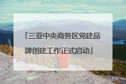 三亚中央商务区党建品牌创建工作正式启动