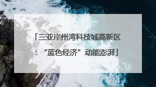 三亚崖州湾科技城高新区：“蓝色经济”动能澎湃