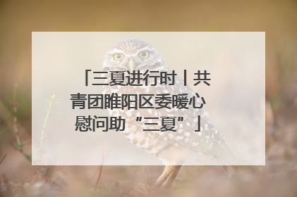 三夏进行时丨共青团睢阳区委暖心慰问助“三夏”
