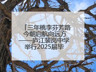 三年桃李芬芳路 今朝启航向远方——庐江裴岗中学举行2025届毕业典礼