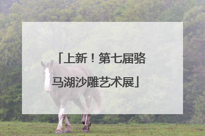 上新！第七届骆马湖沙雕艺术展