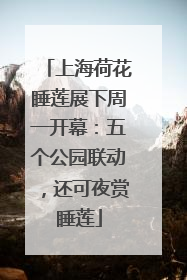 上海荷花睡莲展下周一开幕：五个公园联动，还可夜赏睡莲