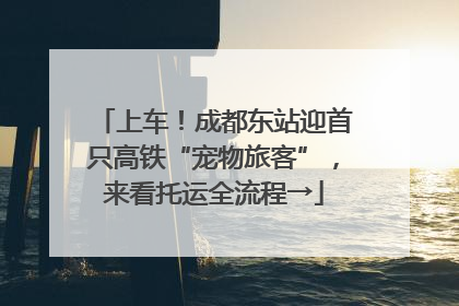 上车！成都东站迎首只高铁“宠物旅客”，来看托运全流程→