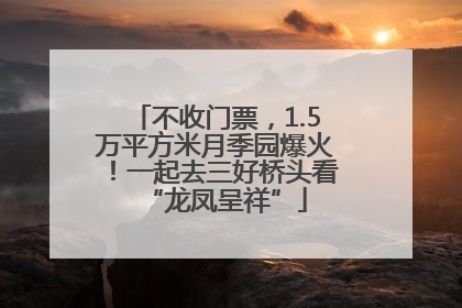 不收门票，1.5万平方米月季园爆火！一起去三好桥头看“龙凤呈祥”