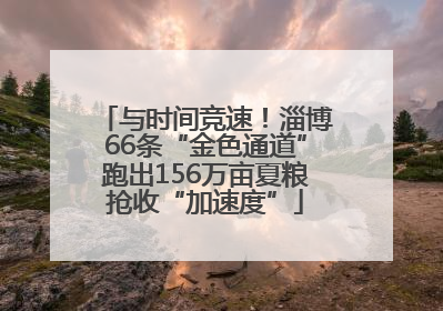 与时间竞速！淄博66条“金色通道”跑出156万亩夏粮抢收“加速度”