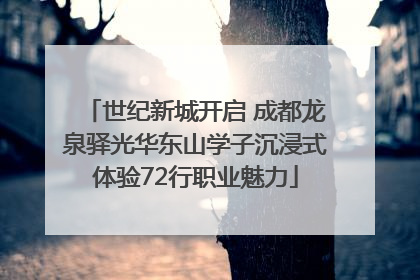 世纪新城开启 成都龙泉驿光华东山学子沉浸式体验72行职业魅力