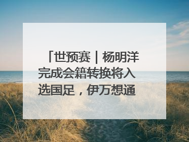 世预赛｜杨明洋完成会籍转换将入选国足，伊万想通了要打双后腰？