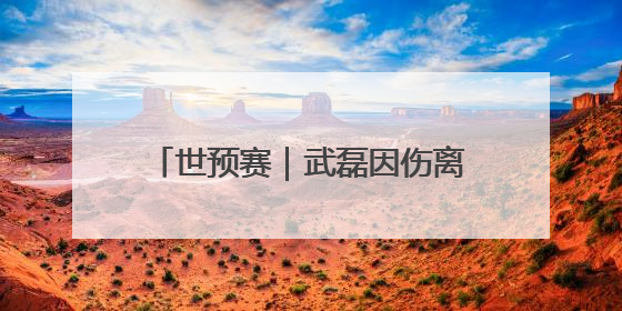 世预赛｜武磊因伤离开国足集训队，伊万不再补招顶替球员