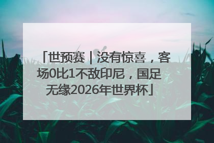 世预赛｜没有惊喜，客场0比1不敌印尼，国足无缘2026年世界杯