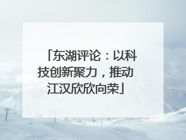 东湖评论：以科技创新聚力，推动江汉欣欣向荣