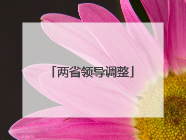 两省领导调整
