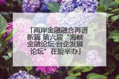两岸金融融合再谱新篇 第六届“海峡金融论坛·台企发展论坛”在厦举办