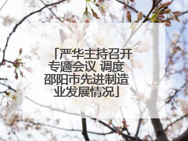 严华主持召开专题会议 调度邵阳市先进制造业发展情况