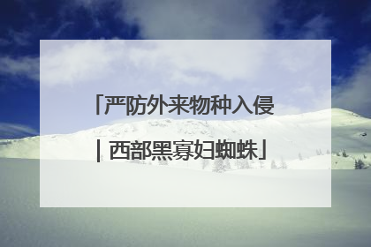 严防外来物种入侵｜西部黑寡妇蜘蛛