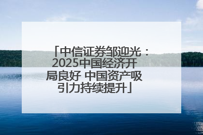 中信证券邹迎光：2025中国经济开局良好 中国资产吸引力持续提升