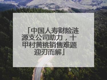 中国人寿财险涟源支公司助力，十甲村黄桃销售难题迎刃而解