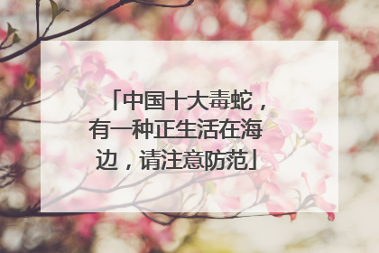 中国十大毒蛇，有一种正生活在海边，请注意防范