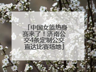 中国女篮热身赛来了！济南公交4条定制公交直达比赛场地