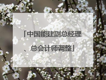 中国能建副总经理、总会计师调整