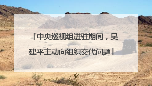 中央巡视组进驻期间，吴建平主动向组织交代问题