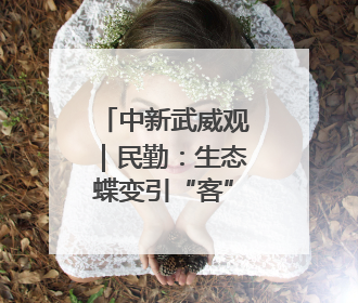 中新武威观｜民勤：生态蝶变引“客”来 野生动物乐逍遥