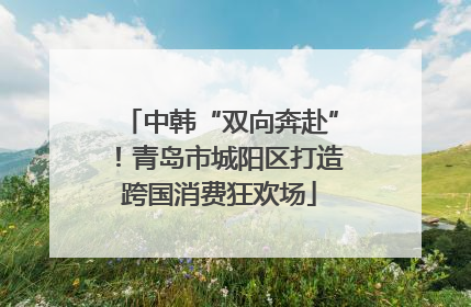 中韩“双向奔赴”！青岛市城阳区打造跨国消费狂欢场