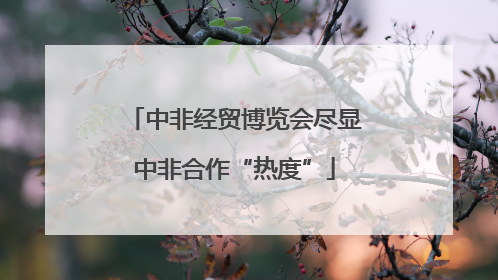中非经贸博览会尽显中非合作“热度”