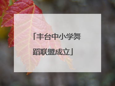 丰台中小学舞蹈联盟成立