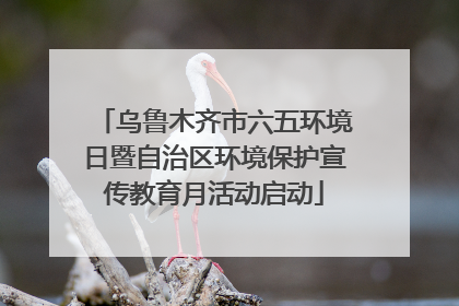 乌鲁木齐市六五环境日暨自治区环境保护宣传教育月活动启动