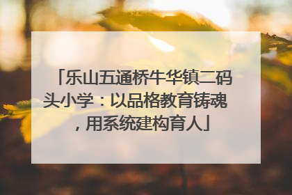 乐山五通桥牛华镇二码头小学：以品格教育铸魂，用系统建构育人
