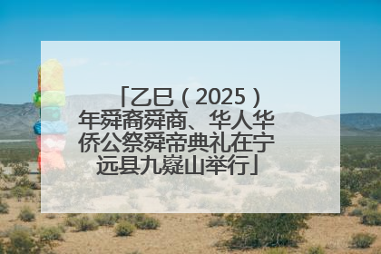 乙巳（2025）年舜裔舜商、华人华侨公祭舜帝典礼在宁远县九嶷山举行