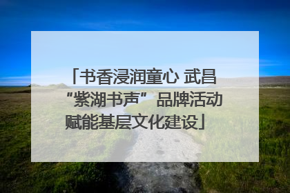 书香浸润童心 武昌“紫湖书声”品牌活动赋能基层文化建设