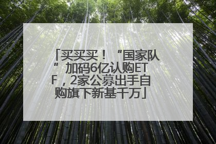 买买买！“国家队”加码6亿认购ETF，2家公募出手自购旗下新基千万