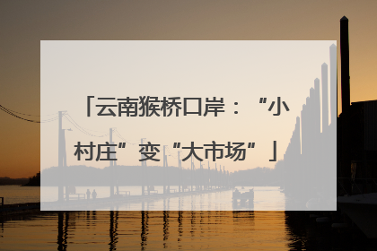 云南猴桥口岸：“小村庄”变“大市场”