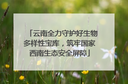 云南全力守护好生物多样性宝库，筑牢国家西南生态安全屏障