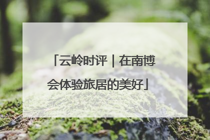 云岭时评｜在南博会体验旅居的美好
