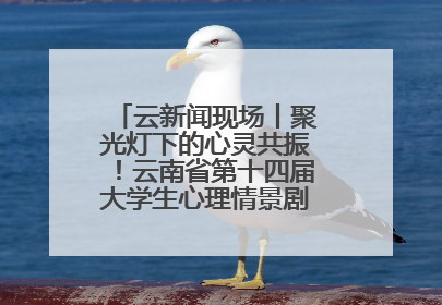 云新闻现场丨聚光灯下的心灵共振！云南省第十四届大学生心理情景剧决赛燃情开演