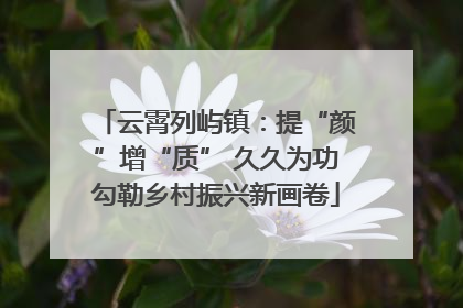 云霄列屿镇：提“颜”增“质” 久久为功勾勒乡村振兴新画卷