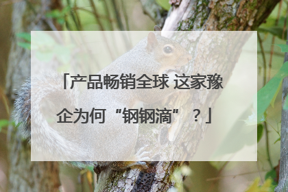 产品畅销全球 这家豫企为何“钢钢滴”？