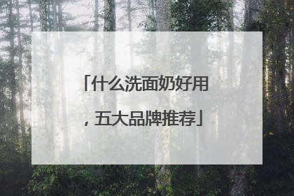 什么洗面奶好用，五大品牌推荐