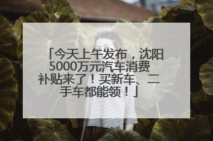 今天上午发布，沈阳5000万元汽车消费补贴来了！买新车、二手车都能领！
