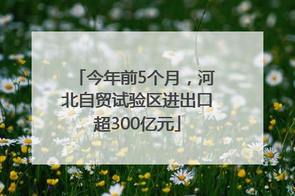 今年前5个月，河北自贸试验区进出口超300亿元